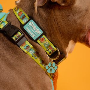 Scooby-Doo Mystery Machine Dog Collar